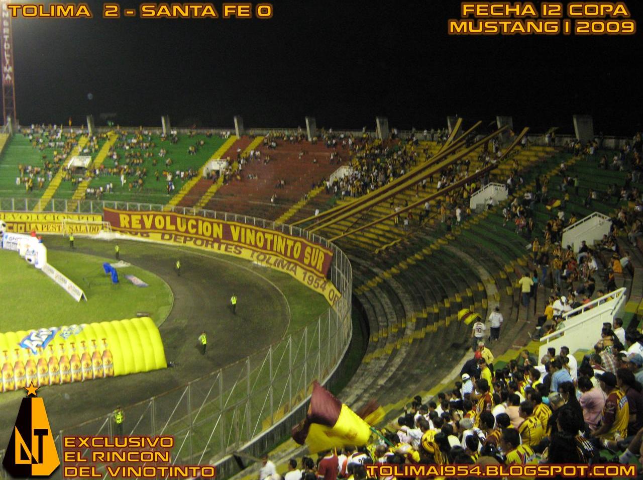 Galería: Deportes Tolima 2-0 Santa Fe, Copa Mustang 2 2009