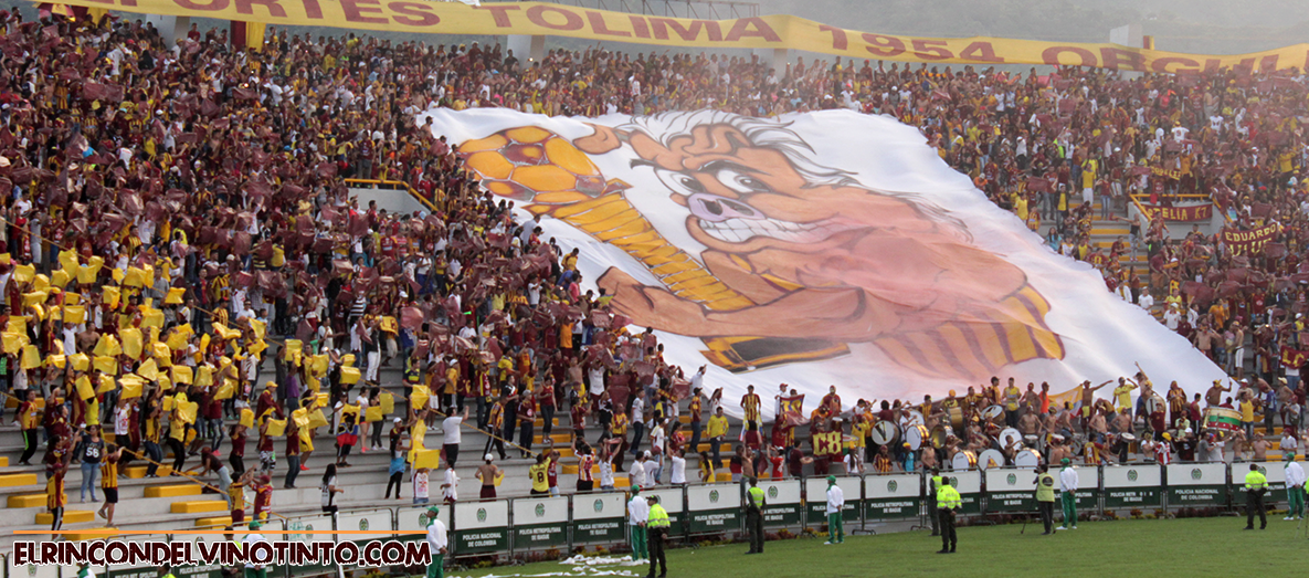 DEPORTES TOLIMA confirmó precios de boletería para el debut en la Liga Águila 1 2016