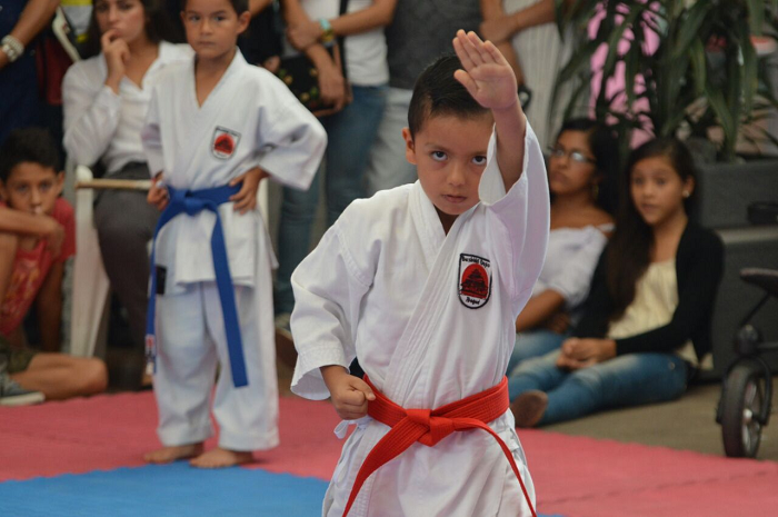 Ibagué, epicentro este fin de semana del clasificatorio departamental de Karate