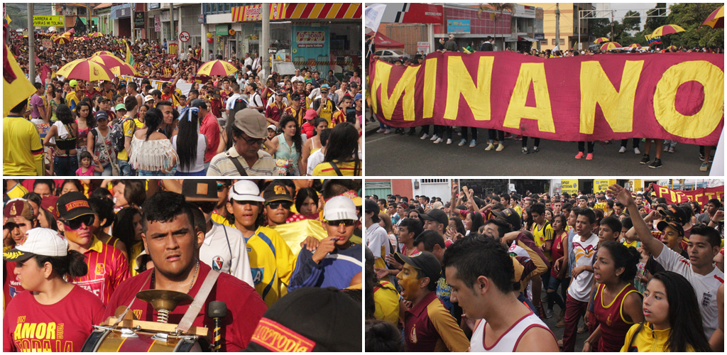La Revolución Vinotinto Sur presente en la VIII Marcha Carnaval por la Vida