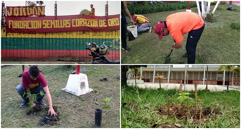 Sembrando campeones en Ibagué: La Fundación Semillas Corazón de Oro y su propósito ambiental