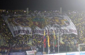 Hinchada del Deportes Tolima
