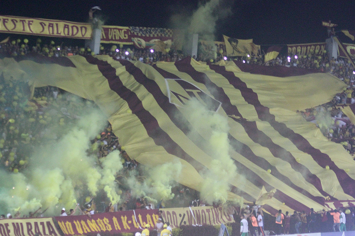 ¡Para escuchar y aplaudir! En el Día del Tolima, la Revolución Vinotinto Sur dio a conocer su nuevo hit musical