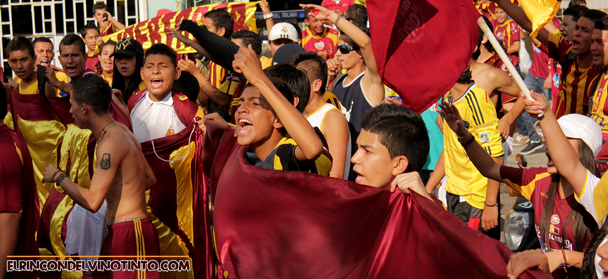 Se viene la reunión de la Revolución Vinotinto Sur en sus 15 años