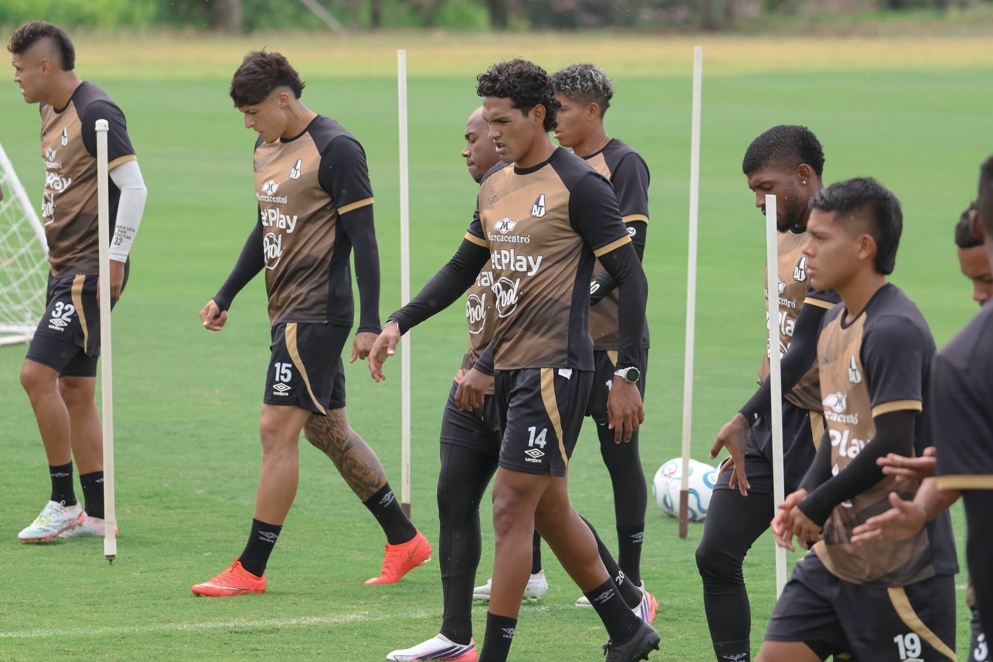 Deportes Tolima - Liga BetPlay 2 2026