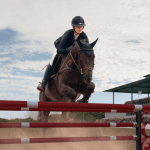 Caballos